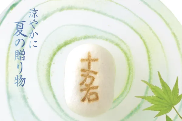 夏カタログ イメージ